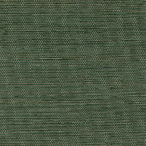 ÉLITIS Tribus Sisal - Au milieu de la garrigue