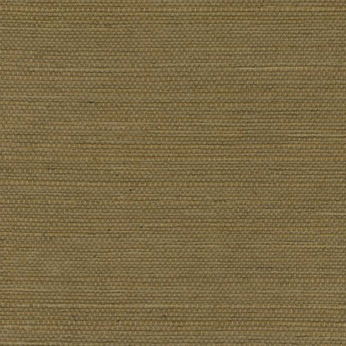 ÉLITIS Tribus Sisal - Témoins de voyages