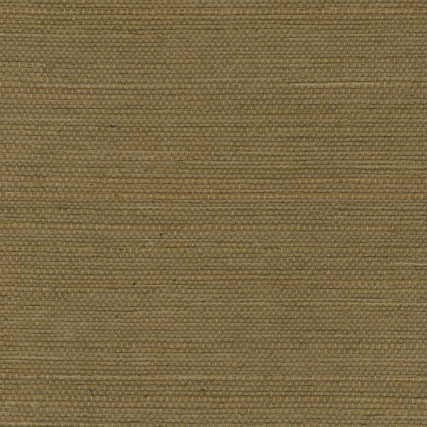 ÉLITIS Tribus Sisal - Témoins de voyages