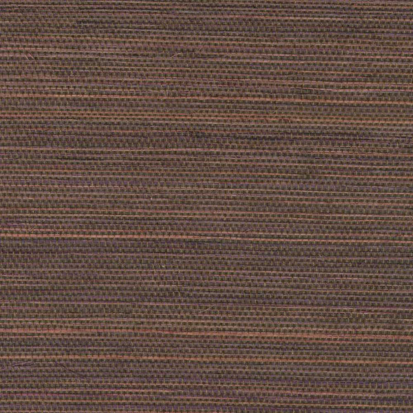 ÉLITIS Tribus Favoris - Terres ancestrales