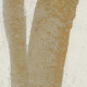 ÉLITIS Kintsugi - Algues dorées