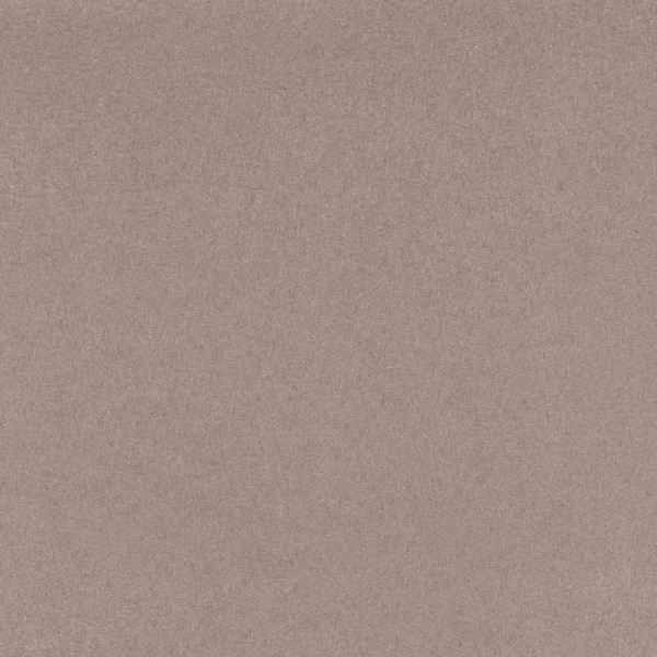 ÉLITIS Velatura Cocoon - Une revanche sur le destin