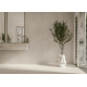 IMOLA AZUMA UP BIANCO 30x60cm