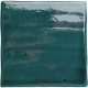WOW ROOTS S TEAL 11x11CM